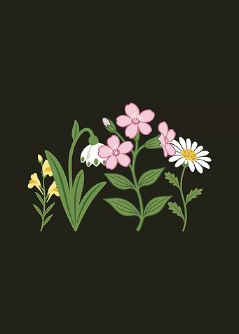 Flowers · Nature · Illustration