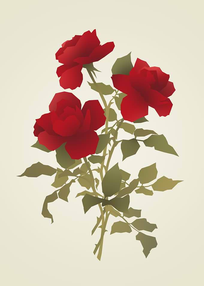 Stylized Red Rose Illustration