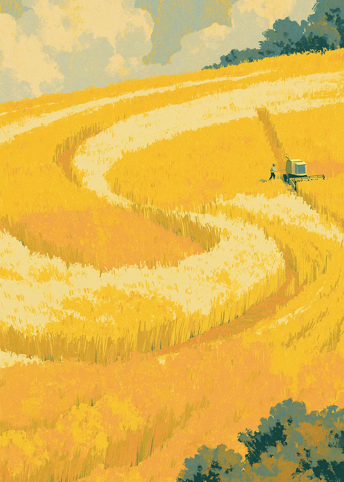Harvesting Golden Wheat Field