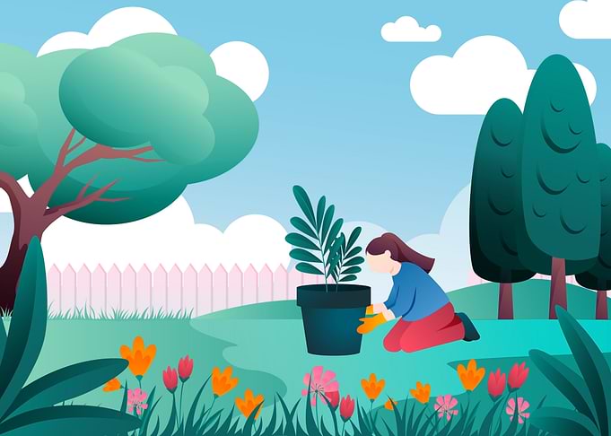 Woman Gardening in a Sunny Garden