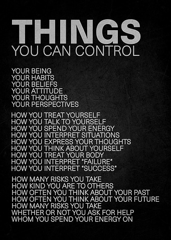 Things You Can Control Inspirational Poster