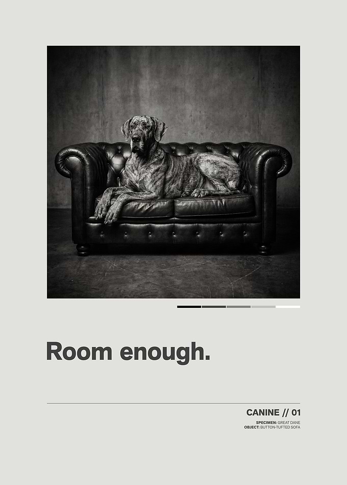 Great Dane on Tufted Sofa // Minimalist Swiss-Style Poster