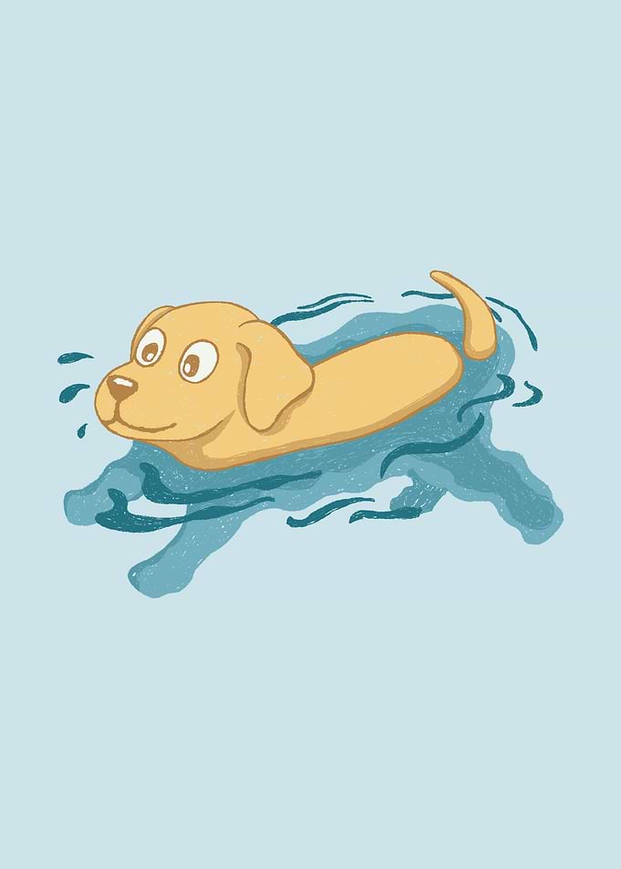 Swimming Dog