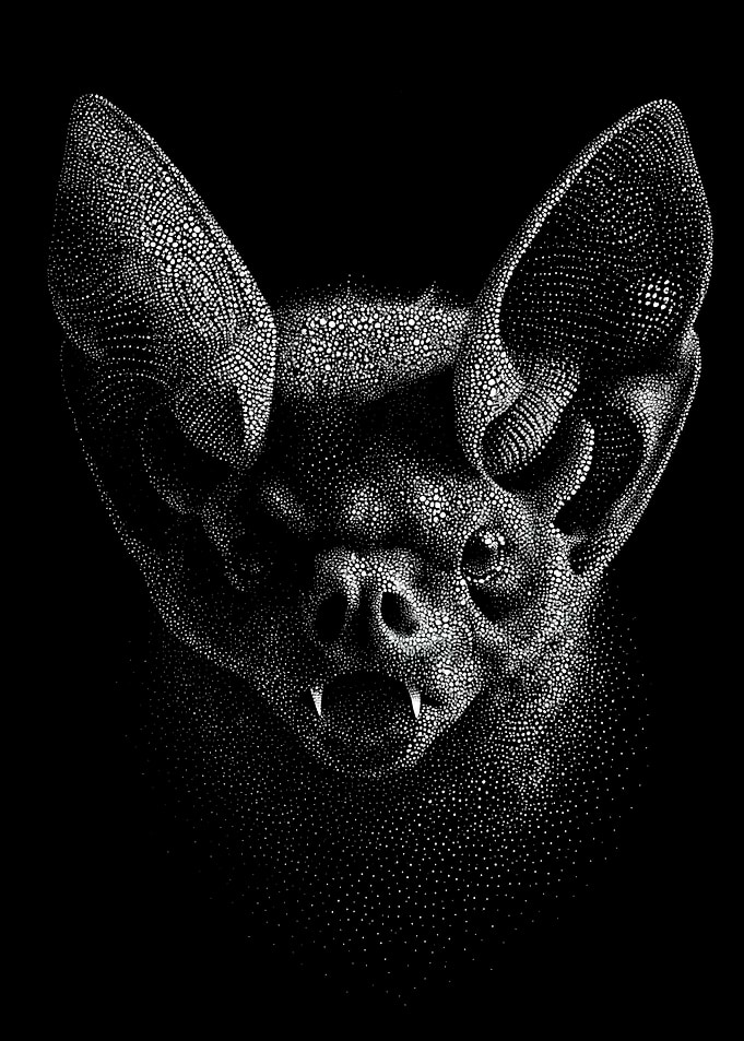 Monochrome Vampire Bat Portrait In Stipple Dotwork