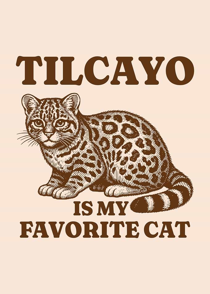 Tilcayo Is My Favorite Cat Tiger Cat Lover