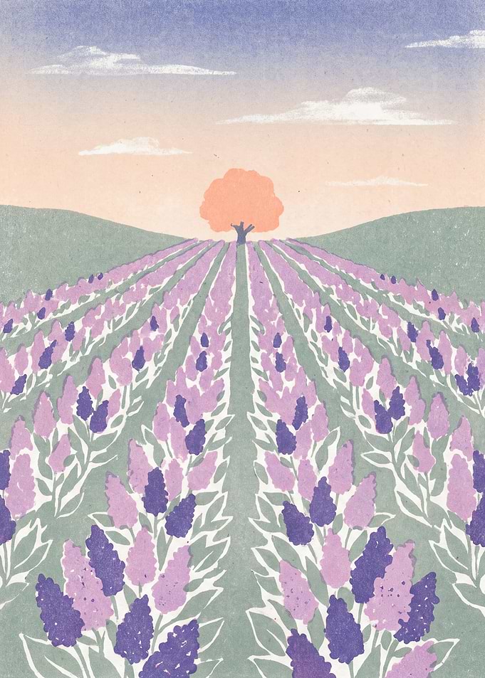 Lavender Ridge