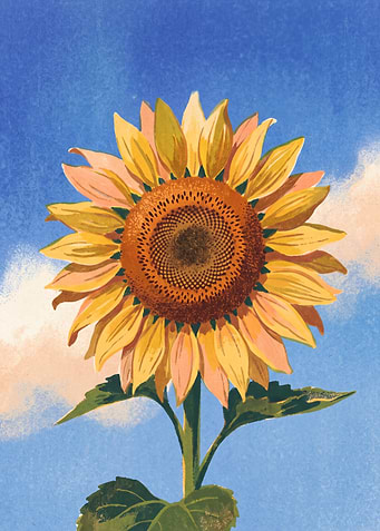 Sunflower Seed