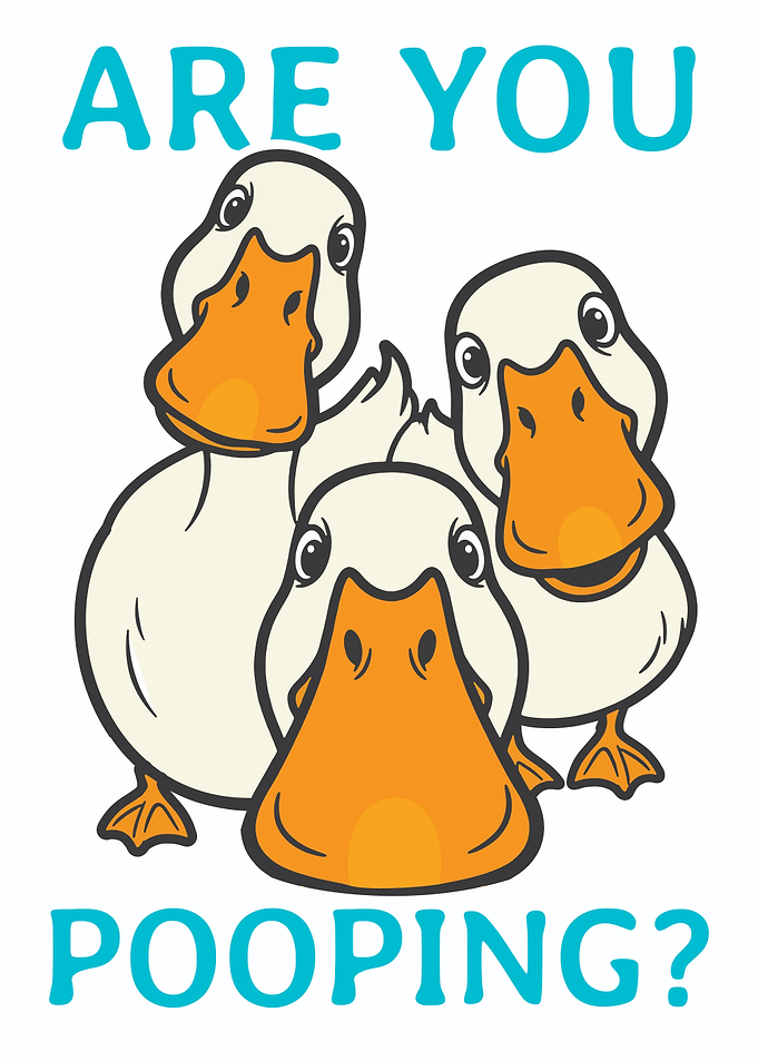 Funny Ducks Are You Pooping Bathroom Humor