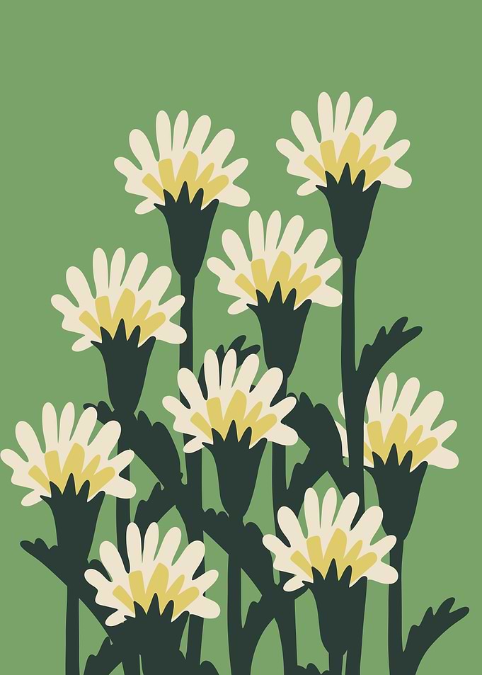 Minimalist Floral Illustration with Daisies