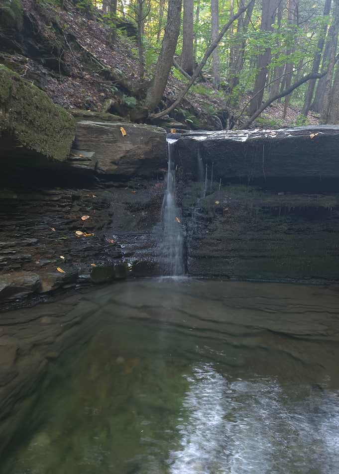 Small Forest Waterfall and Pool
