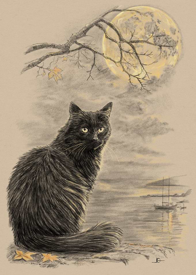 Black Cat Under Full Moon