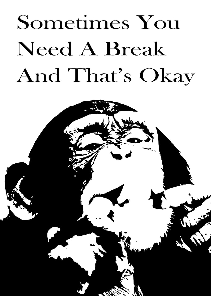 Sometimes You Need A Break Poster