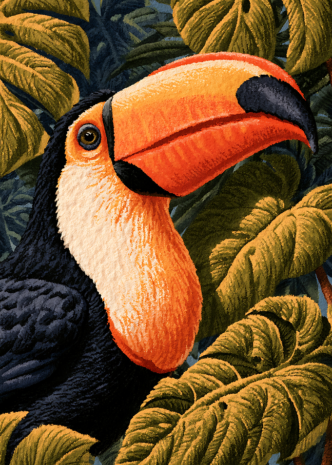 Toco Toucan in Tropical Foliage