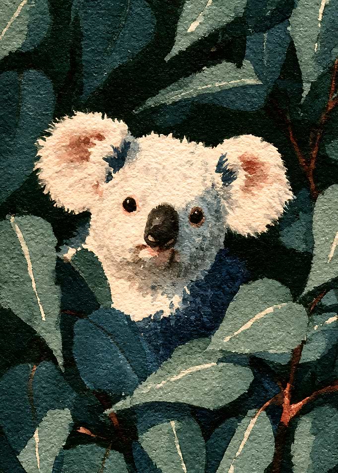 Watercolor Koala Peeking Through Leaves