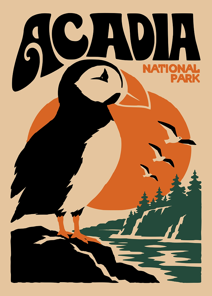 Acadia National Park Puffin Poster
