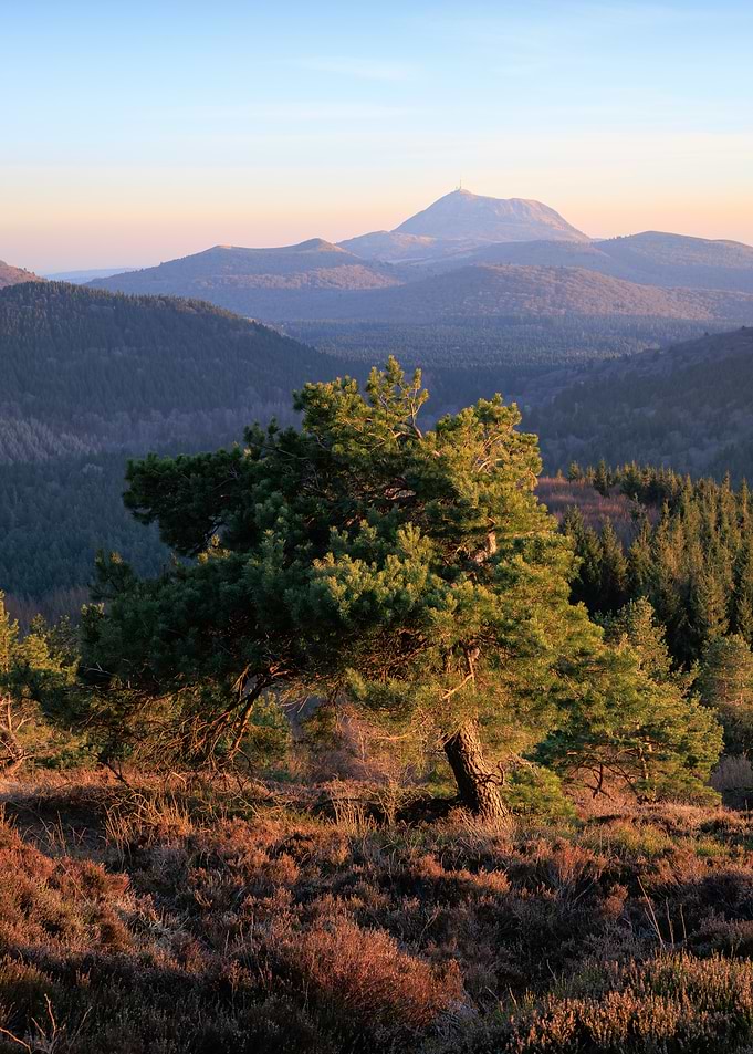 Golden Hour Mountain Landscape