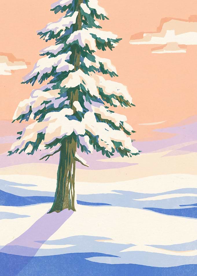 Snow Pine