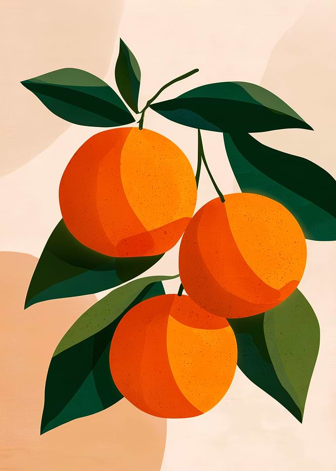 Minimalist Orange Fruit Illustration
