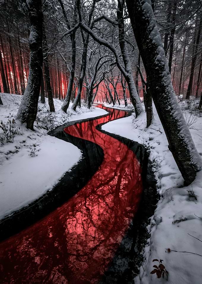 Crimson River in Snowy Forest
