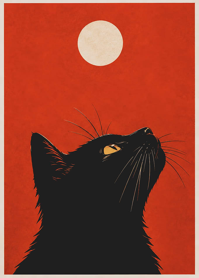 Black Cat Looking at Moon