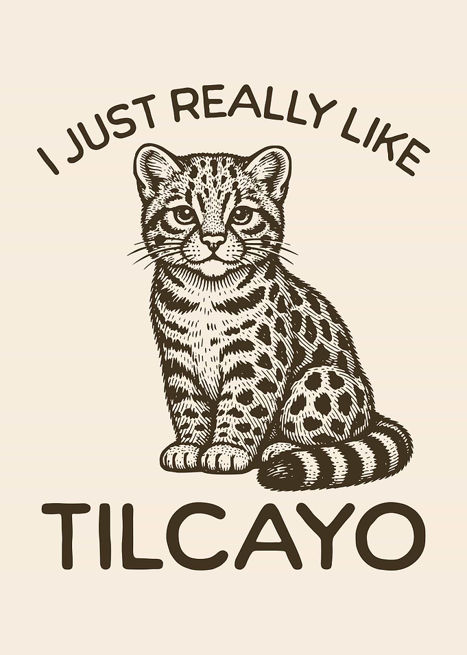 I Just Really Like Tilcayo Wild Cat Lover