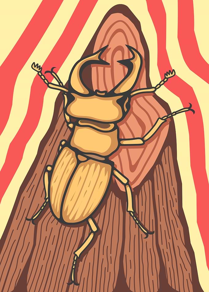 Stylized Stag Beetle Illustration