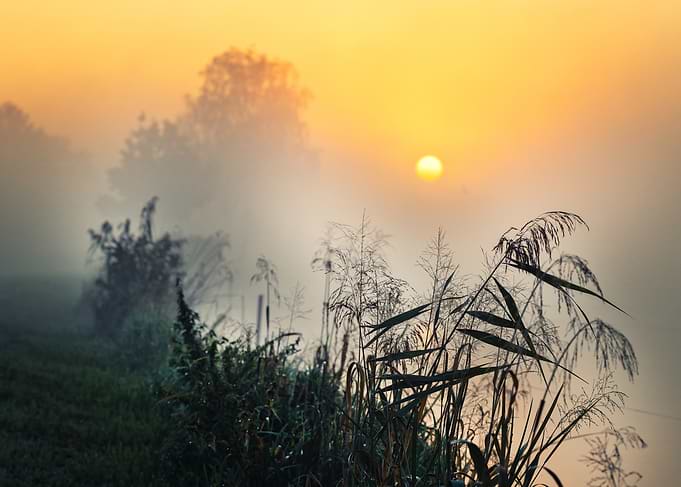 Misty Sunrise Over Riverbank