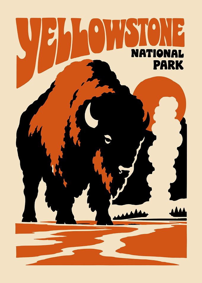 Yellowstone National Park Bison Poster