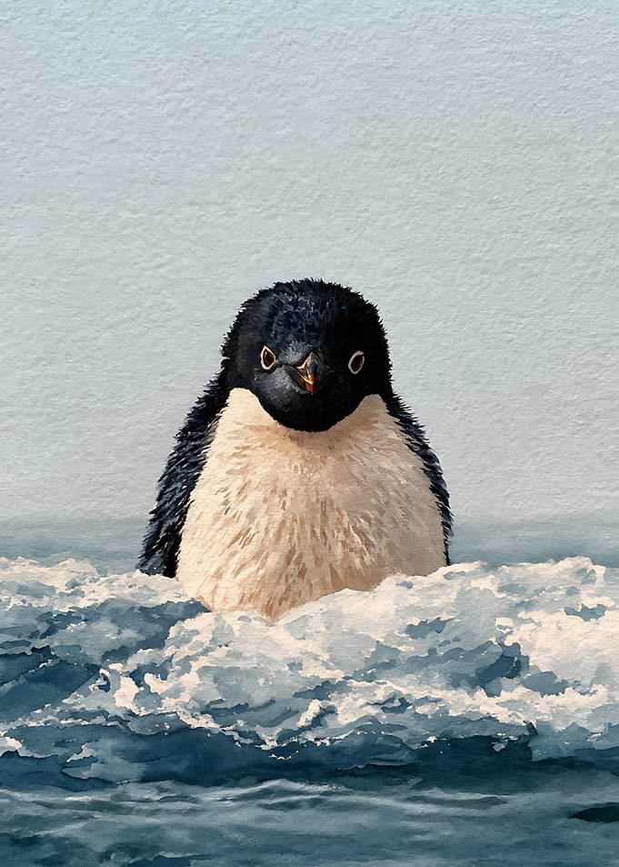 Adelie Penguin Emerging from Ocean Waves