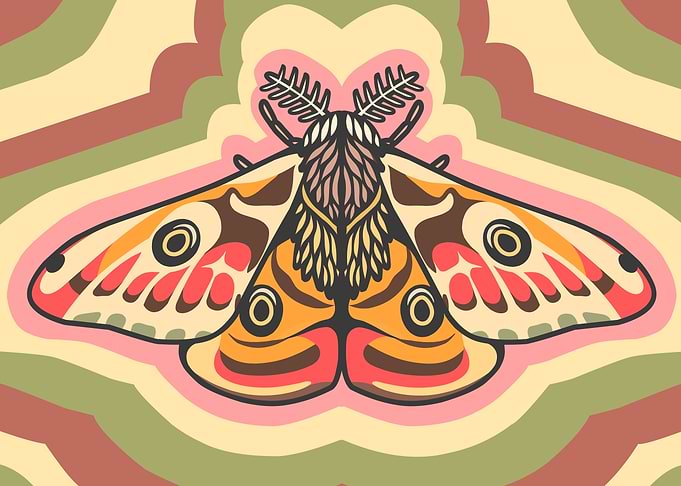 Retro Style Moth Illustration