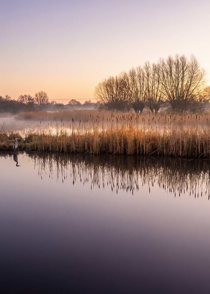 Misty Wetland at Sunrise