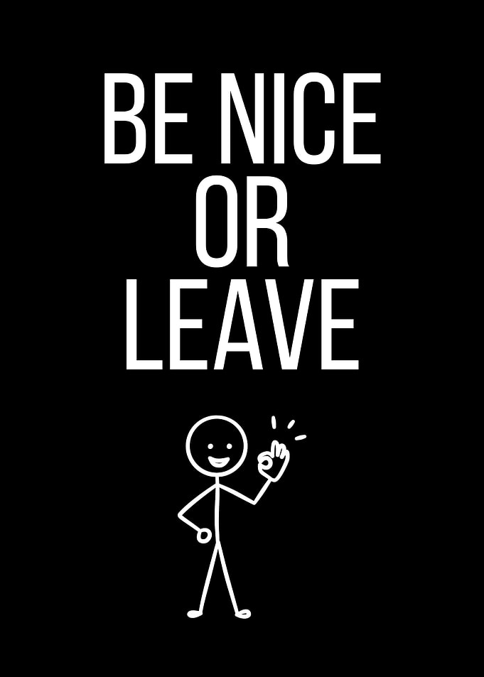 Be Nice Or Leave