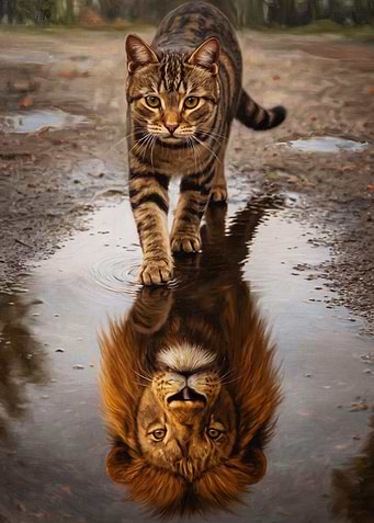 Cat Lion Reflection Art Poster