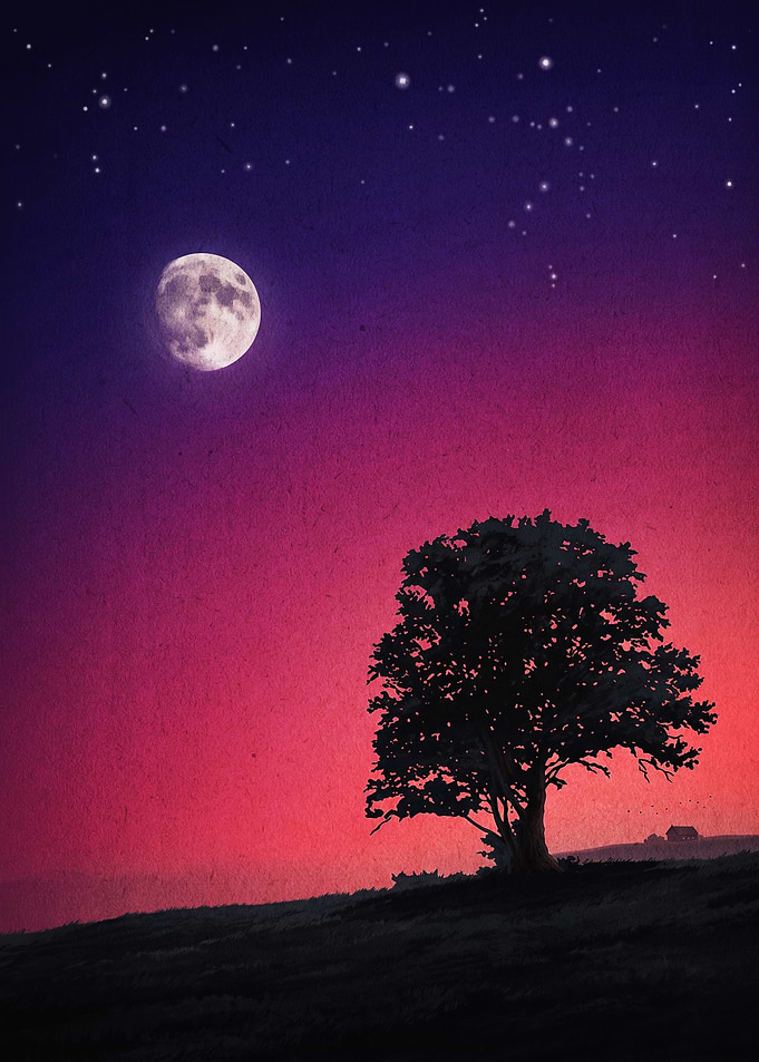 Tree Moon Night Sky Aesthetic Art