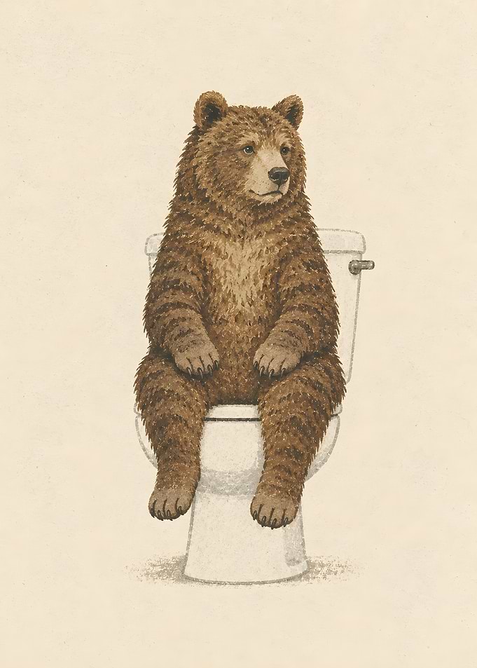 Funny Bear Sitting On Restroom Toilet