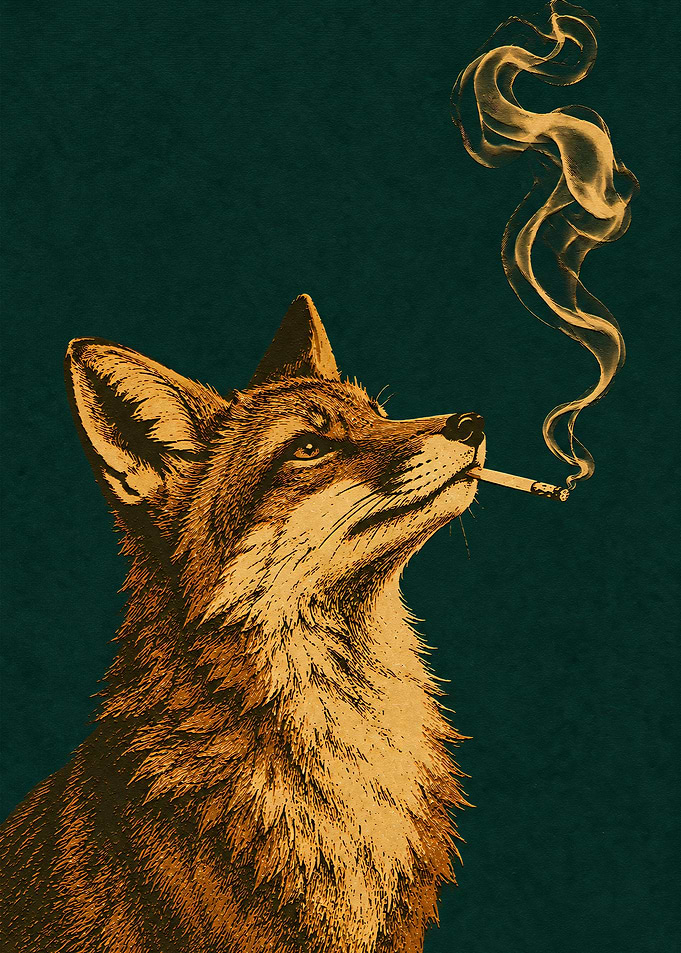 Smoking Fox Illustration