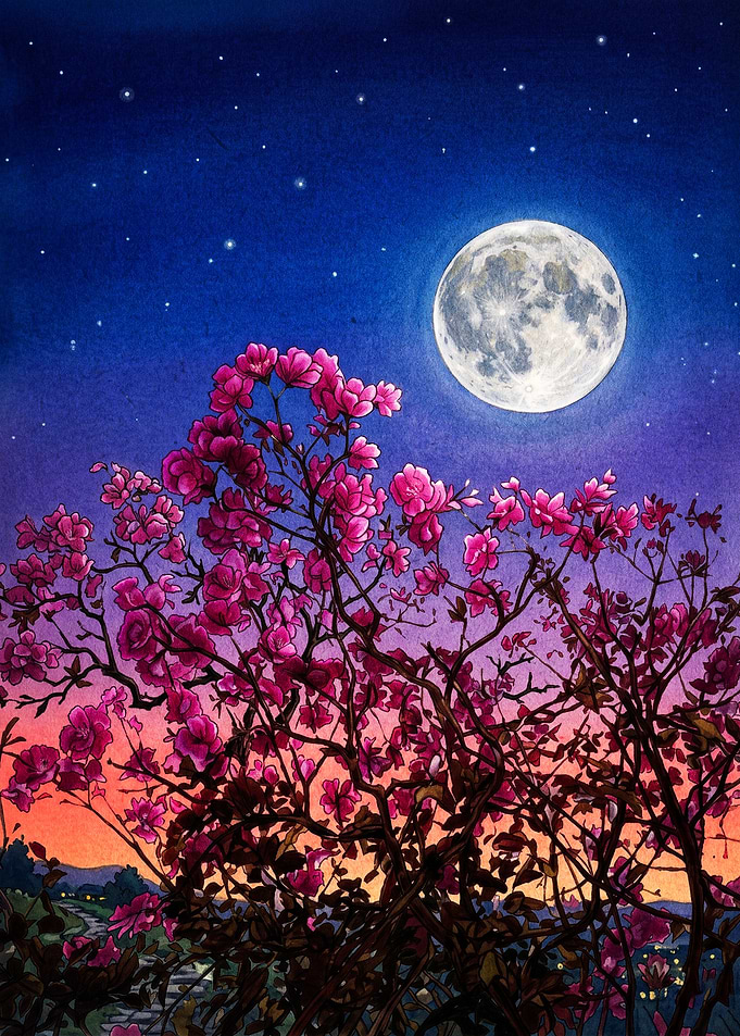 Moonlit Pink Flowers Night Art