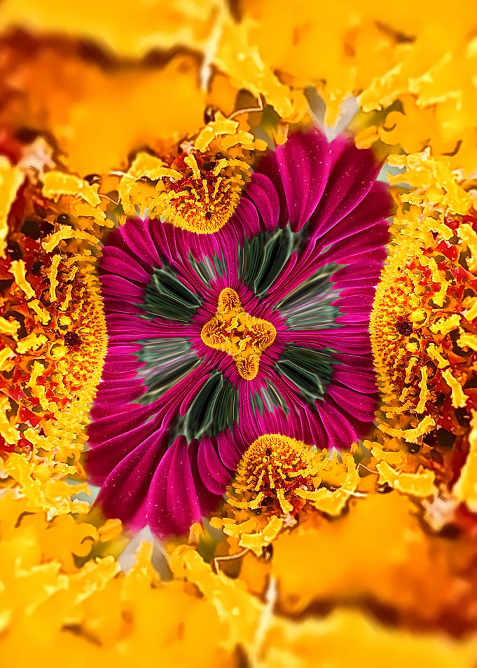 Abstract Floral Kaleidoscope Pattern