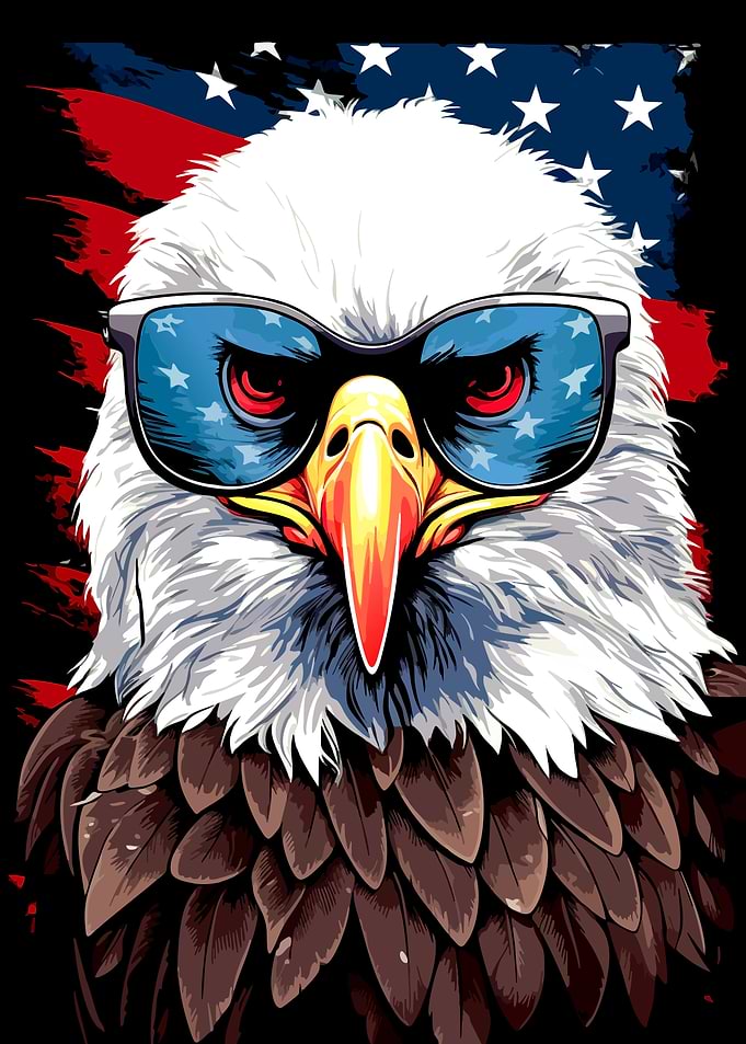 Cool American Bald Eagle Portrait