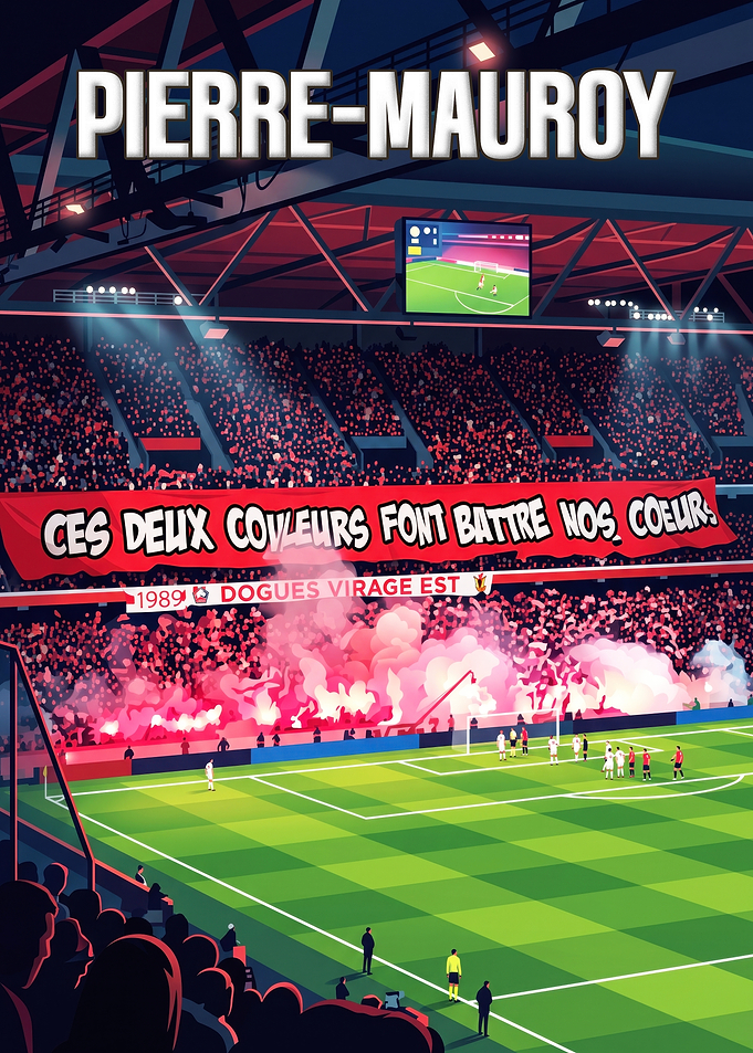 Pierre-Mauroy Stadium Football Match Illustration