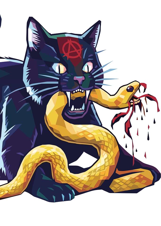 Anarchist Black Cat Hunting Snake