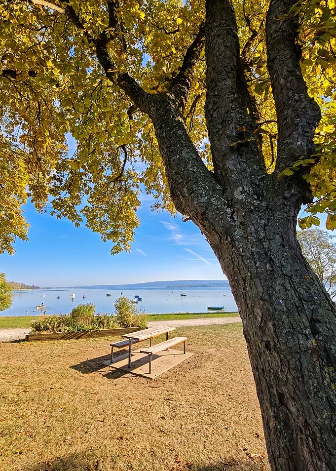 Peaceful Autumn Lake Constance