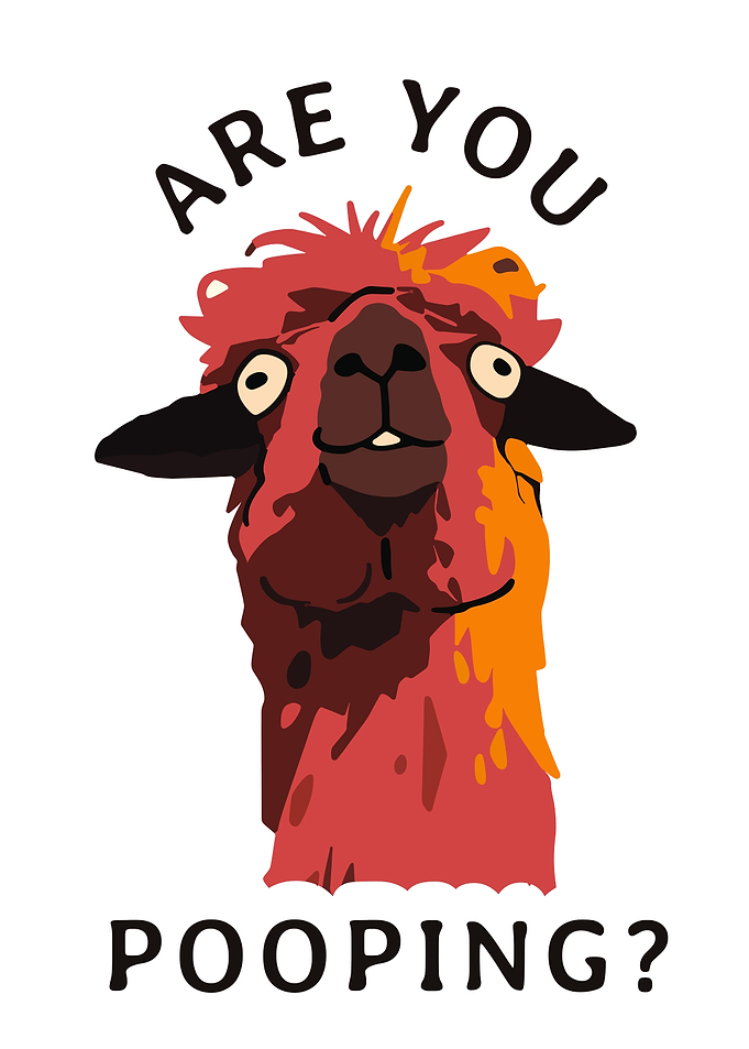 Funny Are You Pooping Bathroom Poster