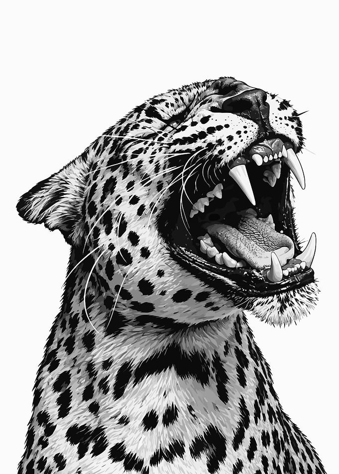 Roaring Leopard Black and White Illustration