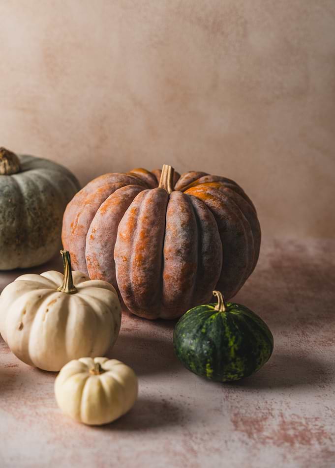 Assorted Autumn Pumpkins and Gourds