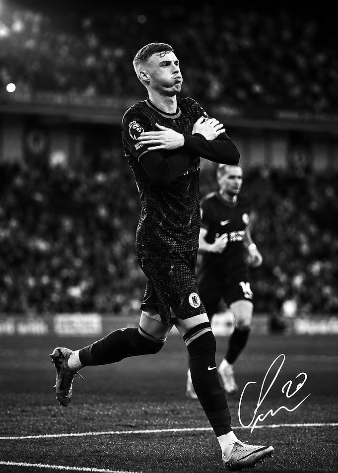 Cold Blooded Celebration Stance Art