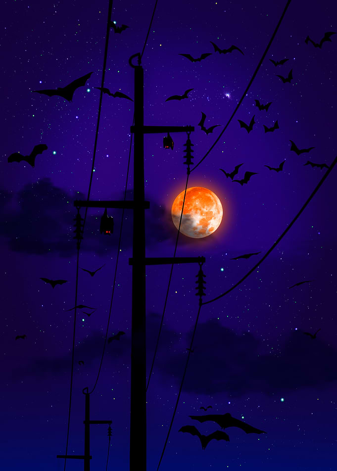 Spooky Bats Under Full Moon