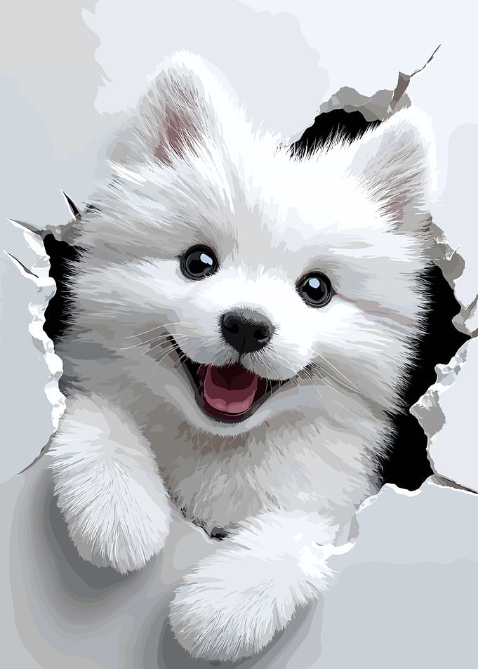Cute White Puppy Peeking Through Wall