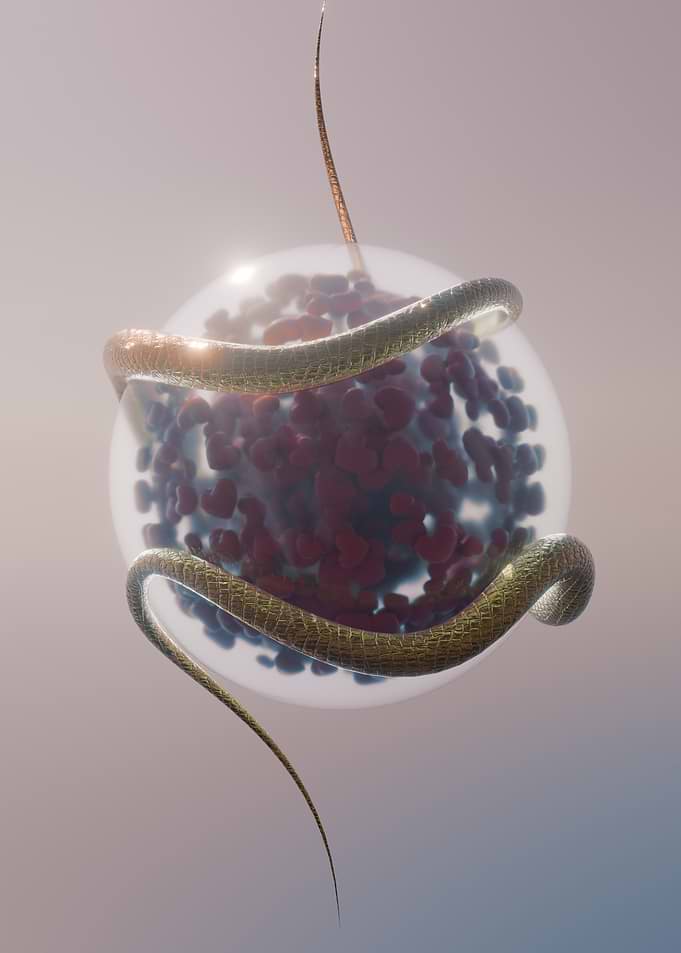Golden Snake Coiling Around Heart Sphere