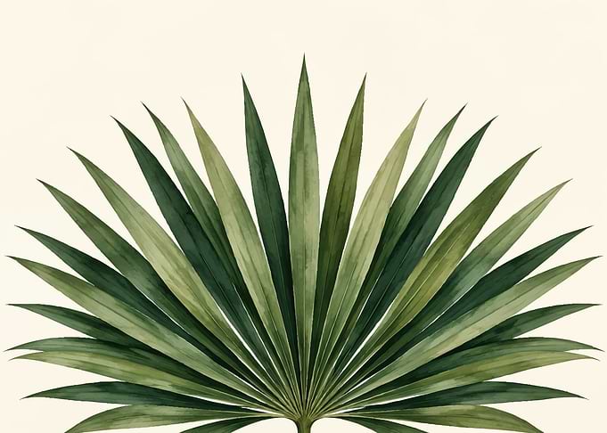 Watercolor Palm Leaf Fan Illustration